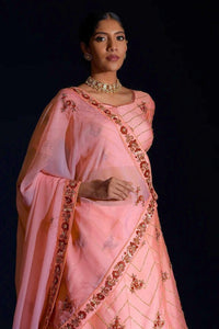Woman wearing a pink saree with intricate designs on a black background