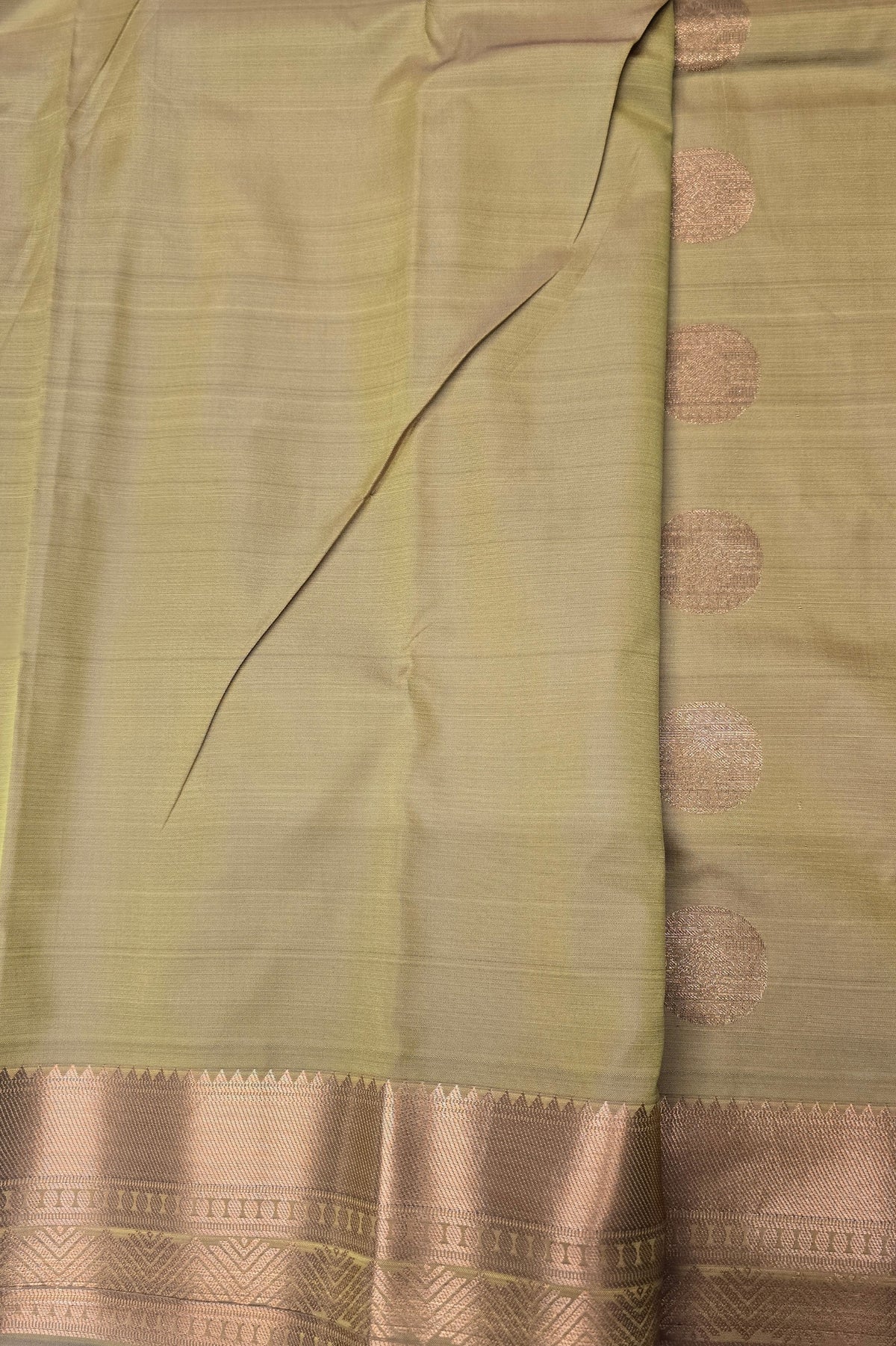 Green saree with a brown border and patterns