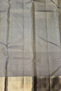 Elegant Pale Silver Kanchipuram Saree