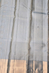Graceful Baby Blue Kanchipuram Saree