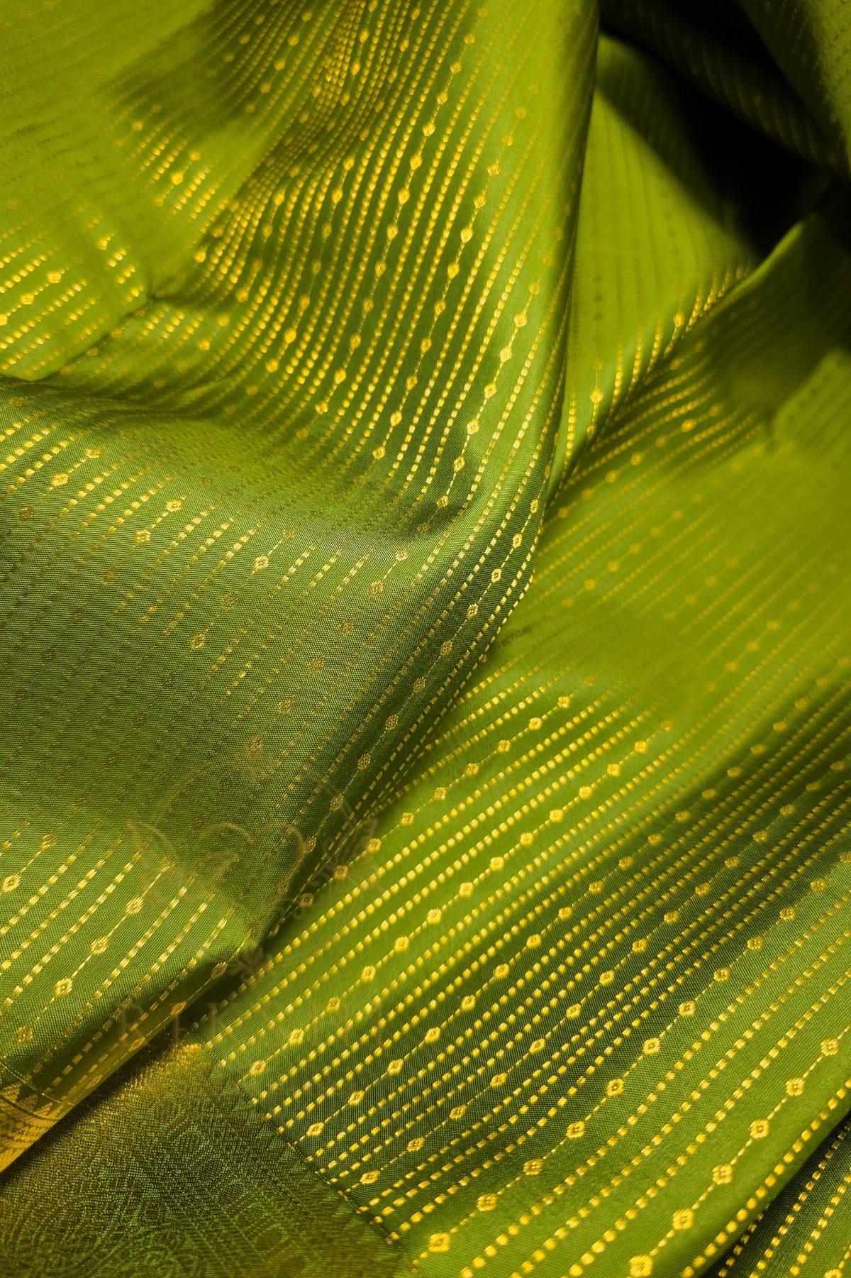 Green saree with gold zari border showcasing intricate designs and luxurious texture.