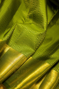Green saree with gold zari border showcasing intricate patterns and a luxurious sheen.