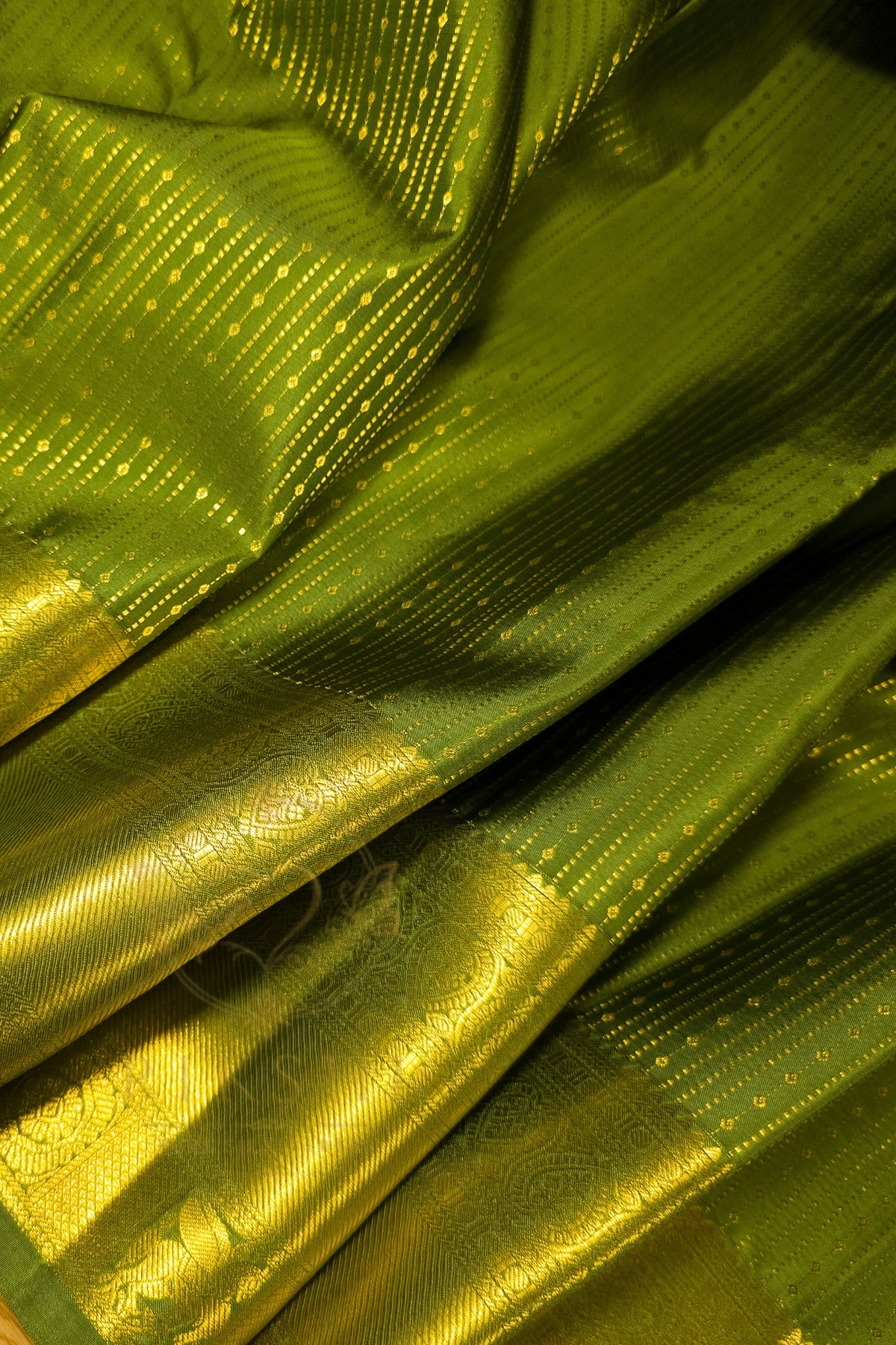 Green saree with gold zari border showcasing rich texture and elegant design.