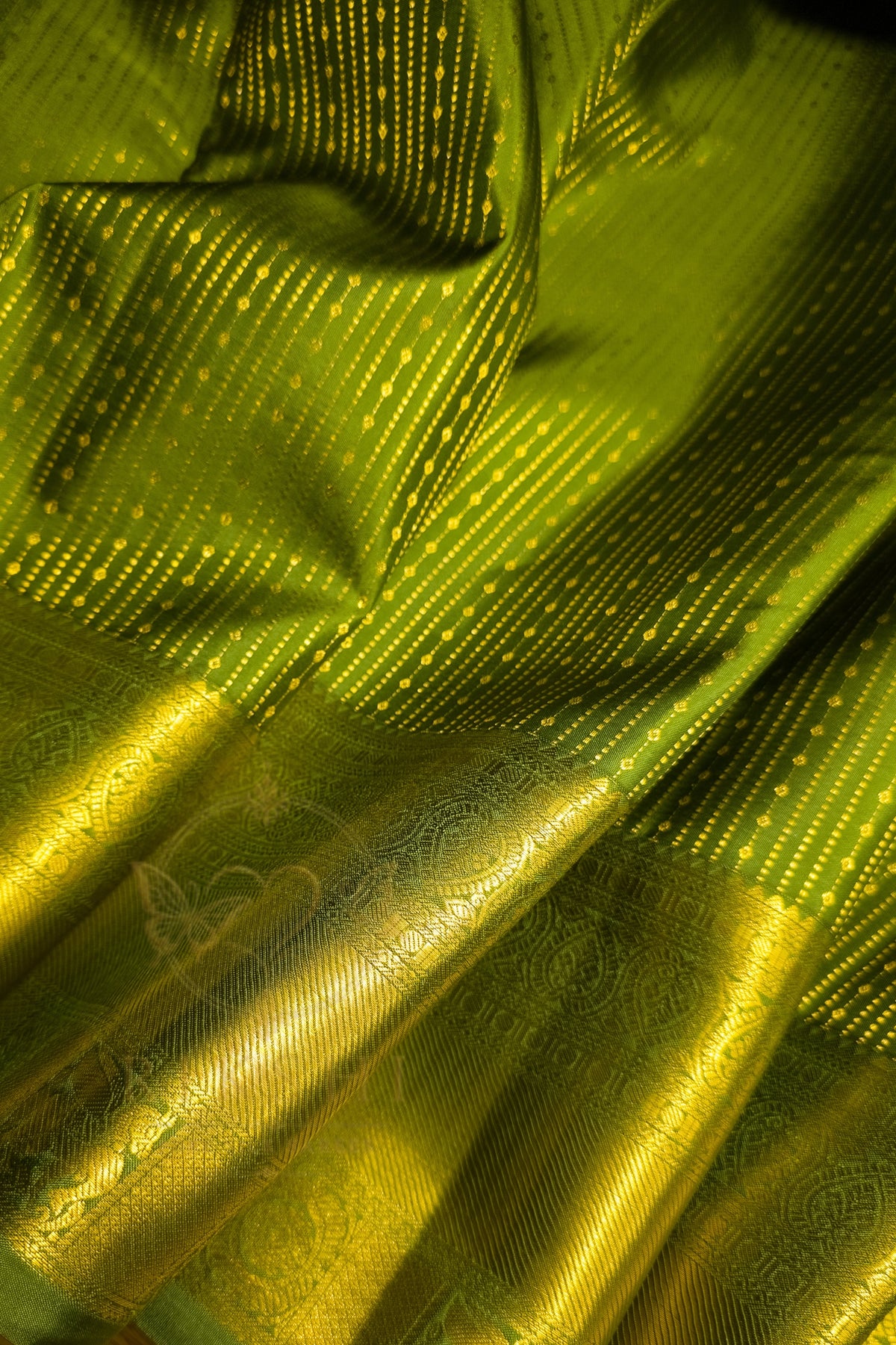 Green saree with gold zari border featuring intricate patterns and rich textures.