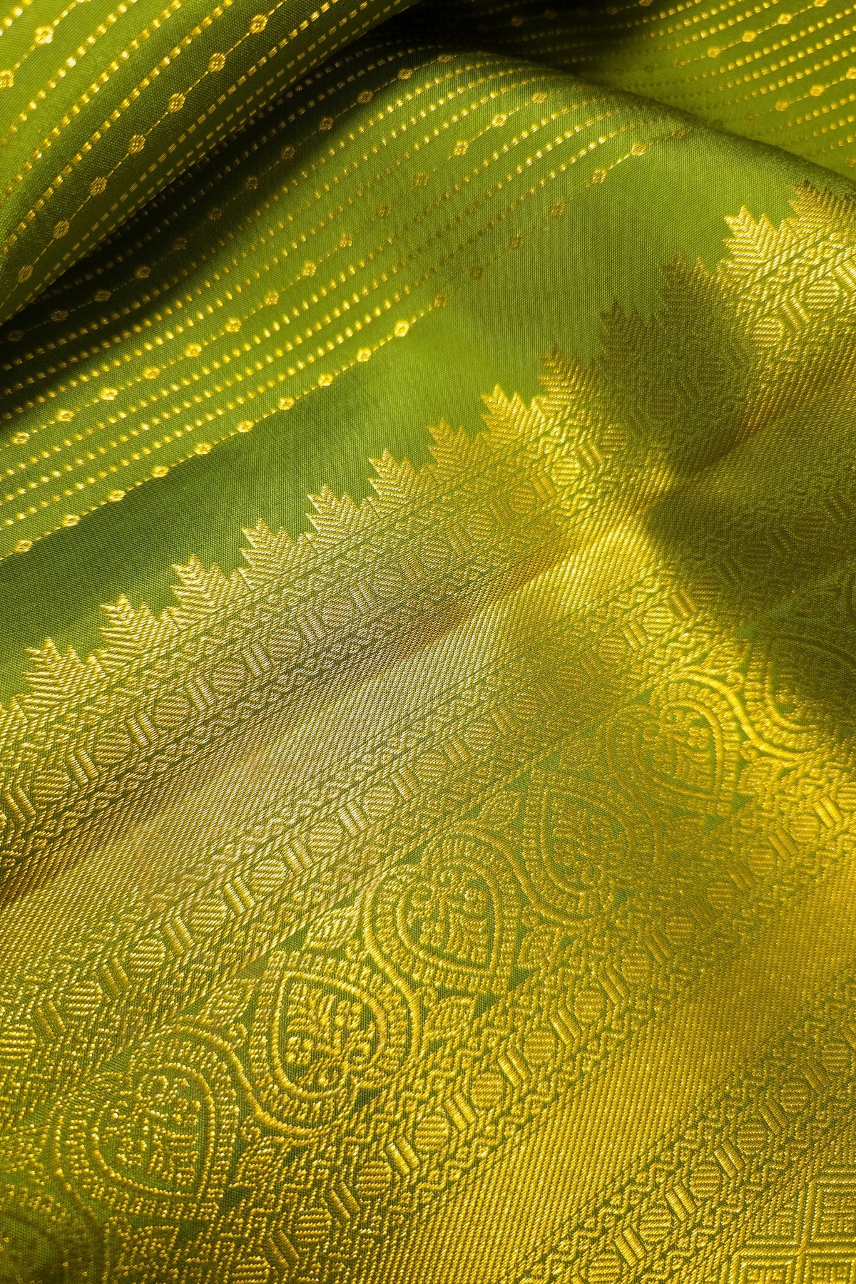 Green saree with gold zari border featuring intricate gold patterns and a luxurious texture.