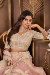Anantesh Lifestyle Bridal  Net Mirror Zarkan Lehenga Cholis