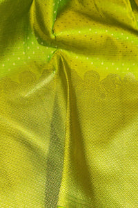 Vibrant Apple Green Kanchipuram Silk Saree