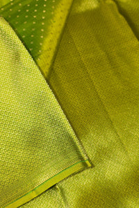 Vibrant Apple Green Kanchipuram Silk Saree