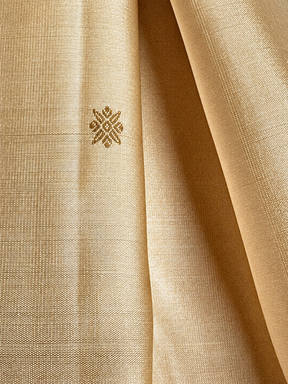 Pale Sandal Silk Saree with Contrasting Blue Border