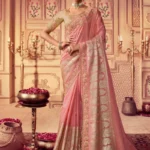 Tremendous Light Coral Embroidered Chinnon Party Wear Saree With Blouse