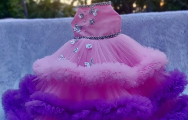 Pink Heavy Frill Gown with Hand Crafted Embellishment